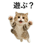 853297297