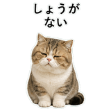 853297301