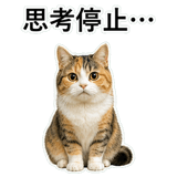 853297354
