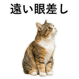 853297356