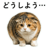 853297359