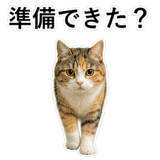 853297364