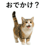 853297365