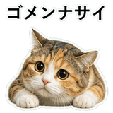 853297366