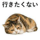 853297378