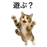 853297385