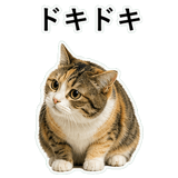 853297386