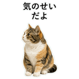 853297387