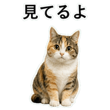 853297388