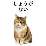 853297389