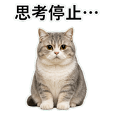 853298010