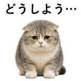 853298015