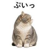 853298016