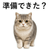 853298020
