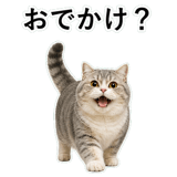 853298021