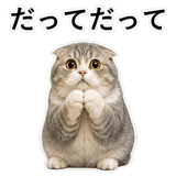 853298023