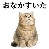 853298031