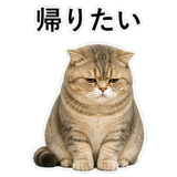 853298033