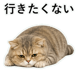853298034