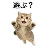 853298041