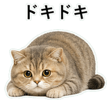 853298042