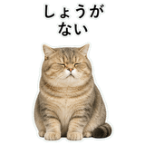 853298045
