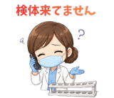 853298080