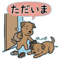 853298795