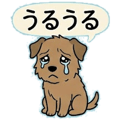 853298813