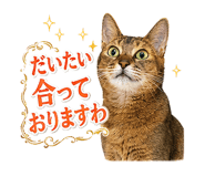 853298982