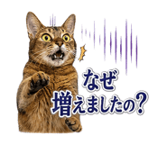 853298983