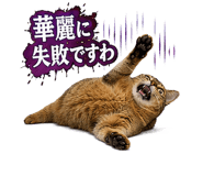 853298989