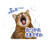 853298997