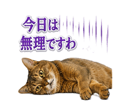 853299012