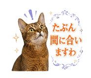 853299014