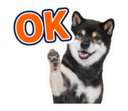 853299017