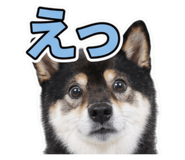 853299025