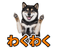 853299028