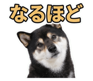 853299030
