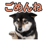 853299031
