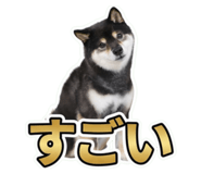 853299032