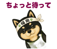 853299331