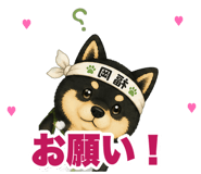853299333