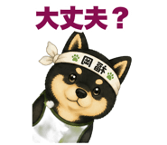 853299339