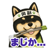 853299343