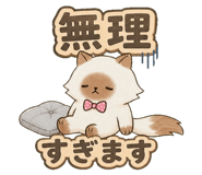 853299430