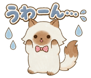 853299433