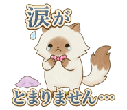 853299442
