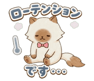 853299445