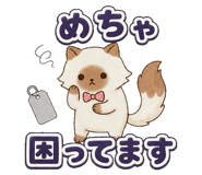 853299448